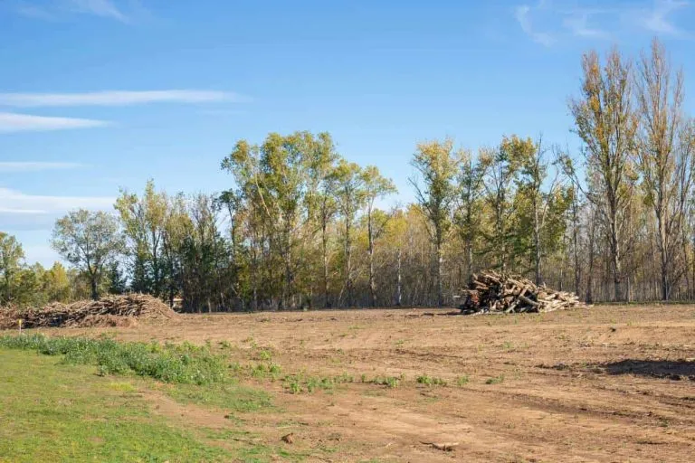 understanding-the-process,-purpose,-and-impact-of-land-clearing